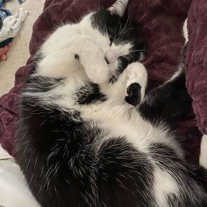 Meet your Posher, Riley